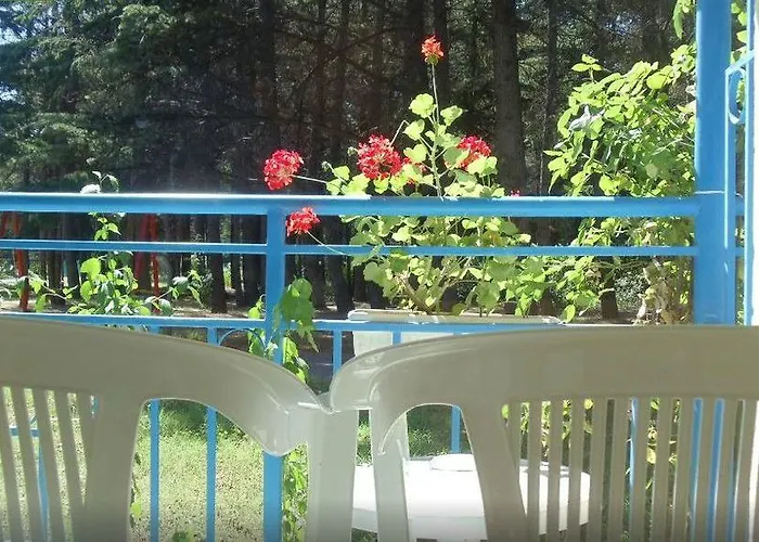 Continental Park Hotell Slăntjev Brjag