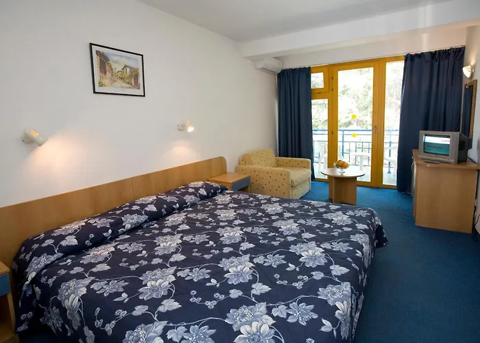 Continental Park 3* Slăntjev Brjag