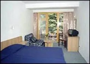 Hotel Continental Park 3*