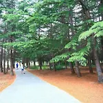 Continental Park Сонячний Берег